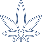 Cannabis